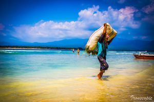 Island worker